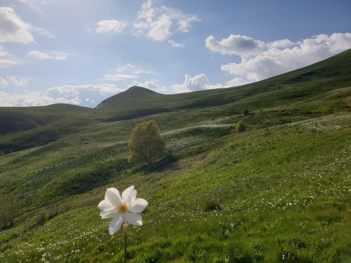 Appartement A La Montagne Villar-d'Arene Bagian luar foto